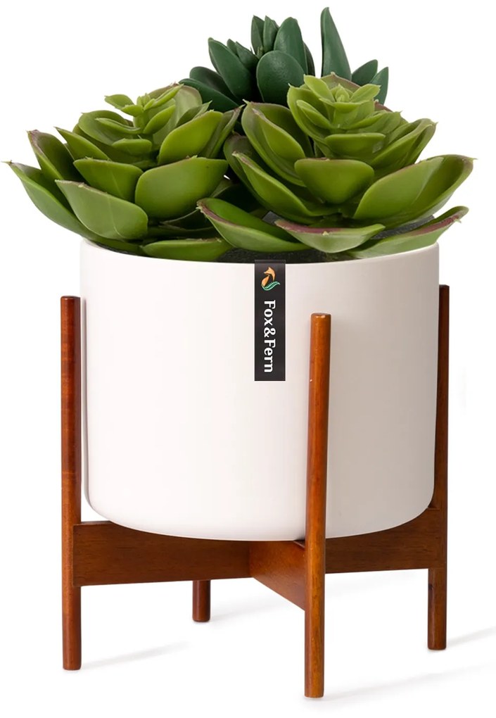 Fox & Fern Thorn, virágcserép, állvánnyal, 50-es évek stílusa, 2 méret