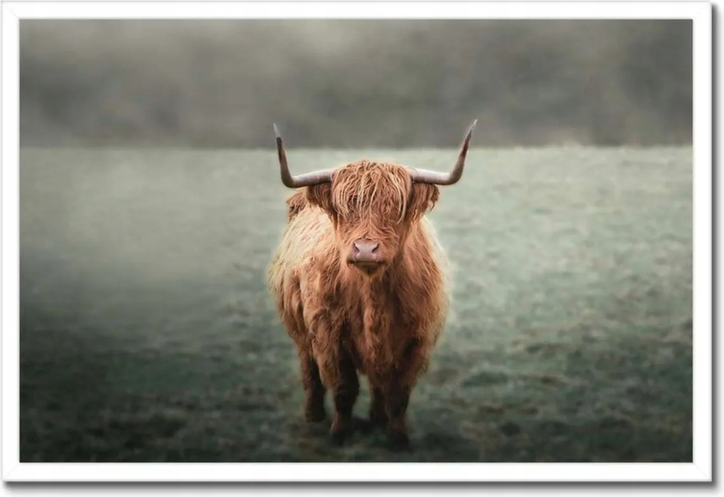 Poszterek keretben 60x40 Mint a szarvak Hegyi rét