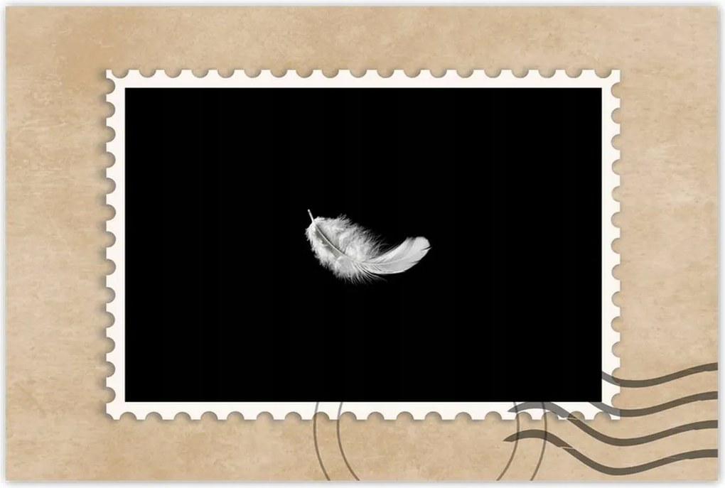 Poszter 60x40 Bolyhos fehér tolltartó