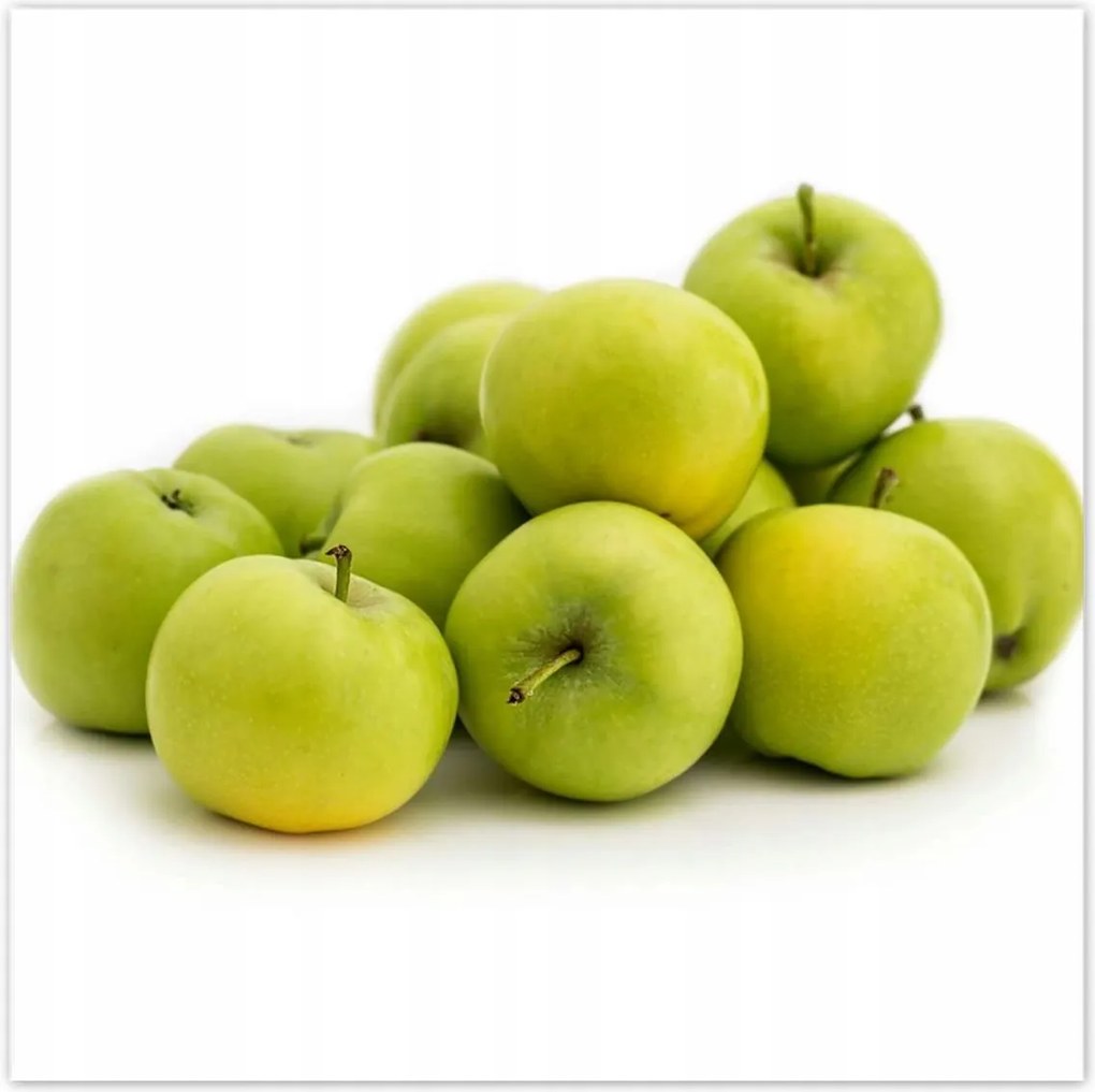 Poszterek 140x140 Zöld alma