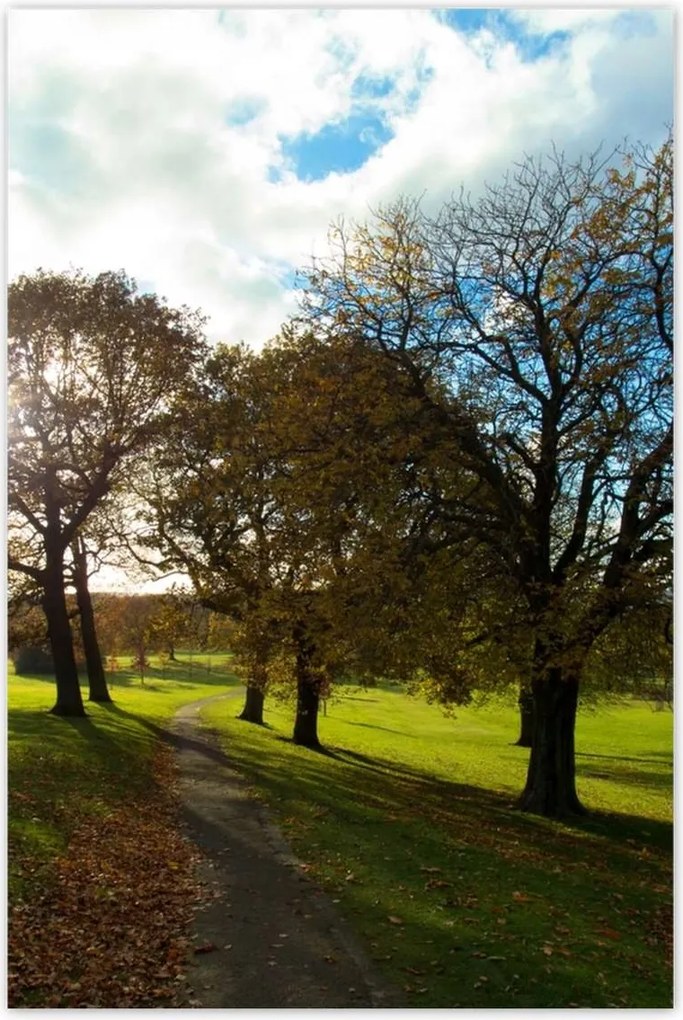 Poszterek 60x90 Őszi tájkép
