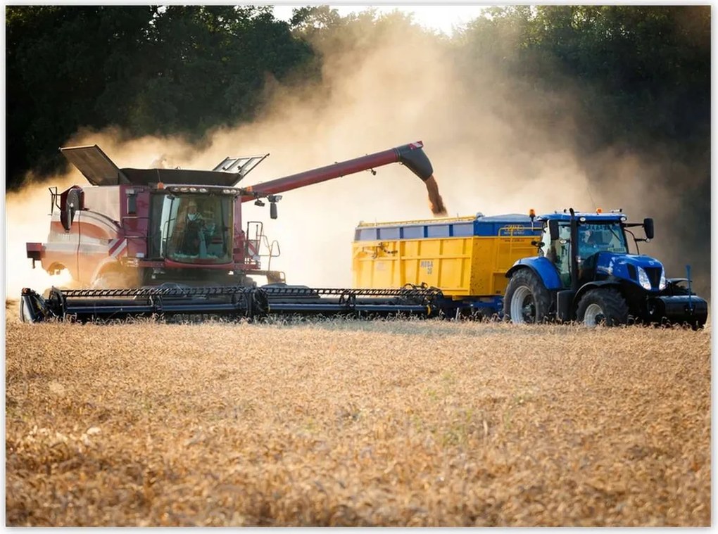 Poszterek 135x100 Aratás Kombájn Traktor