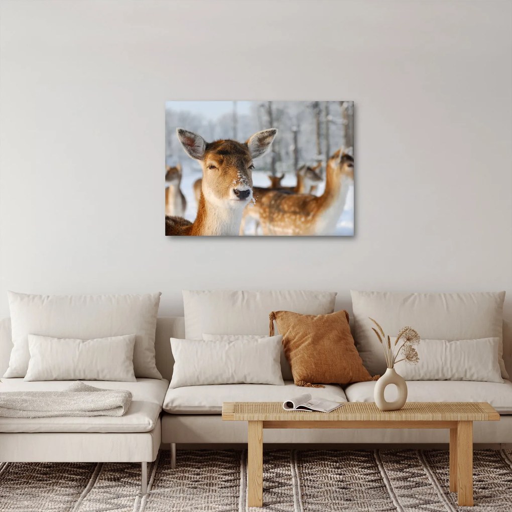 Kép - Szarvas (70x50 cm)