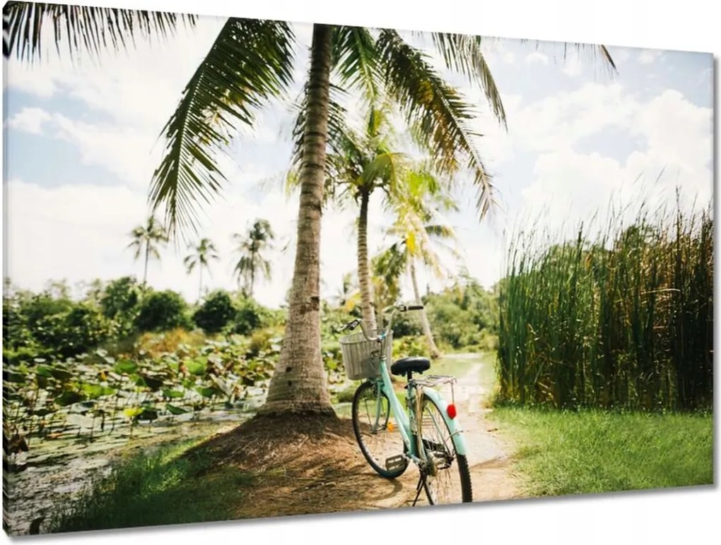 Képek 120x80 Kerékpárok Két kerék