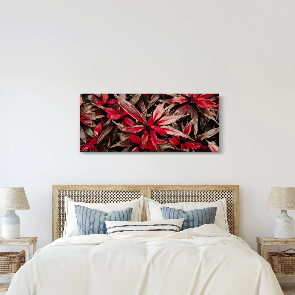 Piros szirmok képe (120x50 cm)