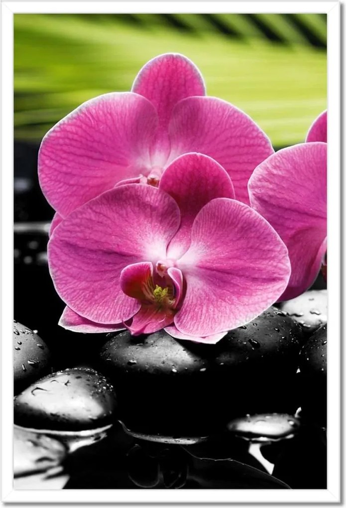 Poszterek keretben 40x60 Spa Kövek és leanderek