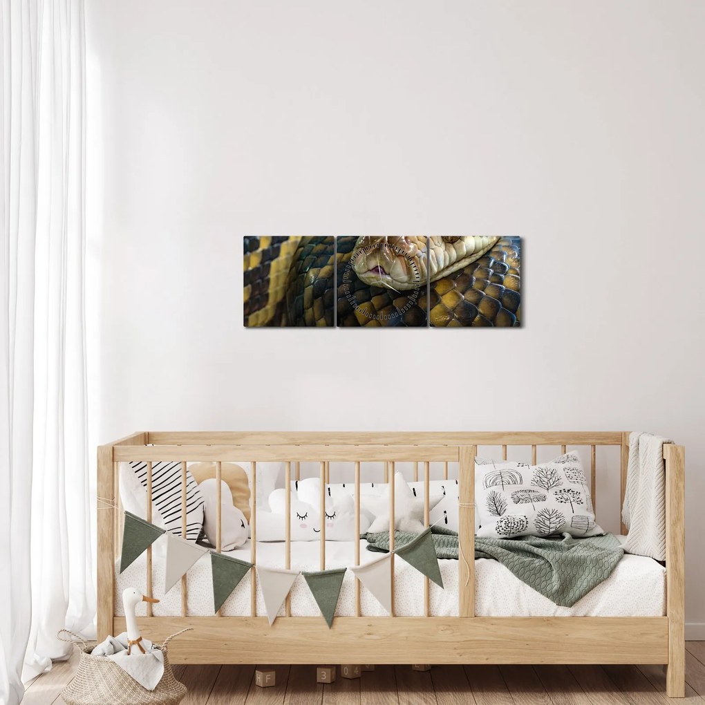 Kép - Piton (órával) (90x30 cm)
