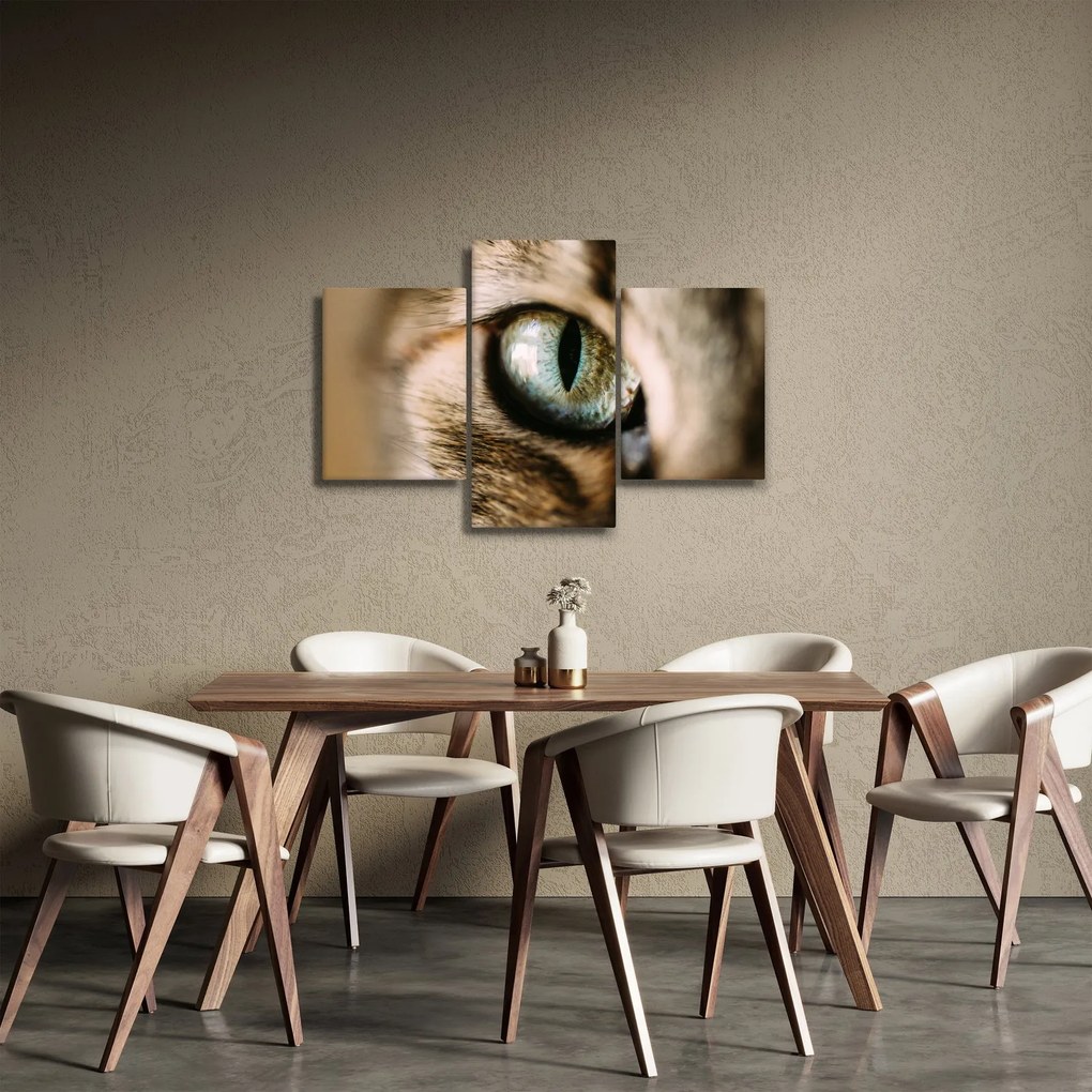 Kép - Macskaszem (90x60 cm)