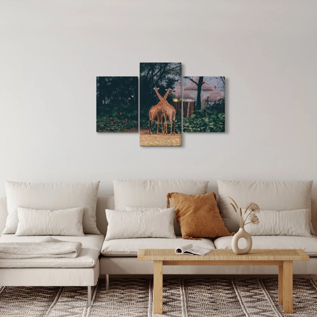 Két zsiráf képe (90x60 cm)