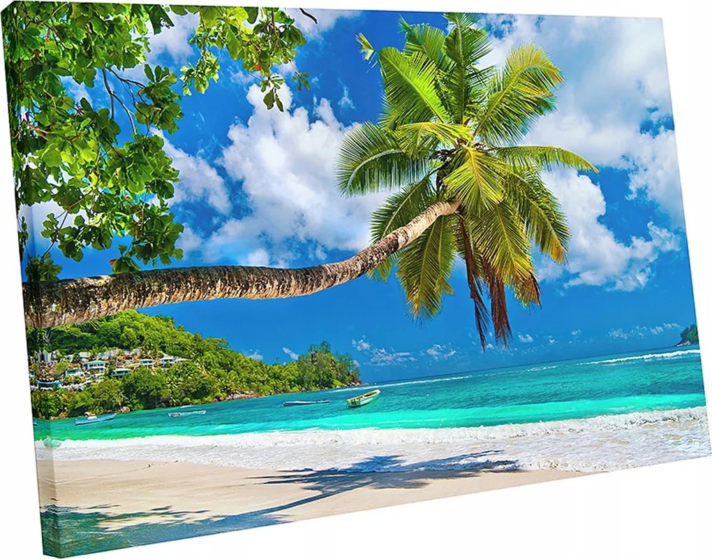 Vászonkép tengerpart tenger pálma pálmafák 120x80