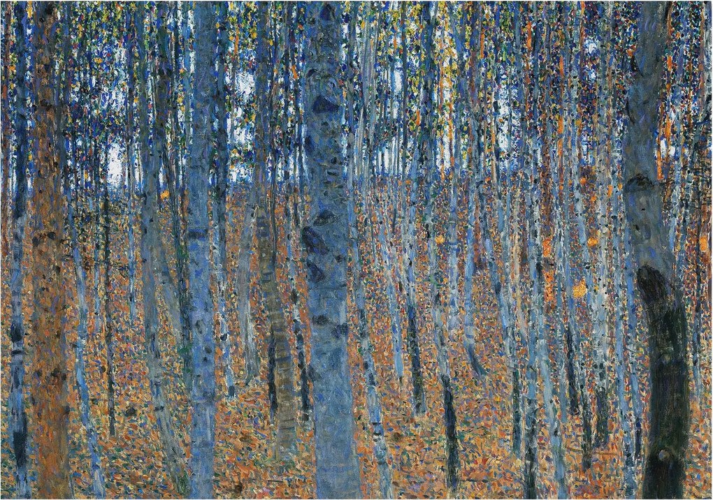 Dekoratív Fotótapéta Hálószobába Nyírerdő 312x219 Ragasztó