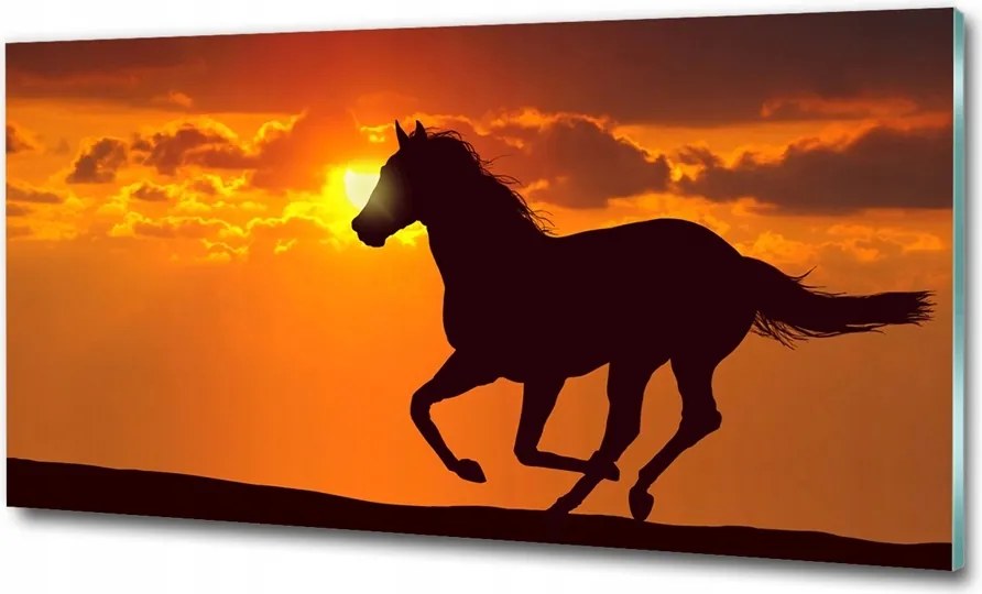 Fotó-üvegkép Ló naplemente 100x70