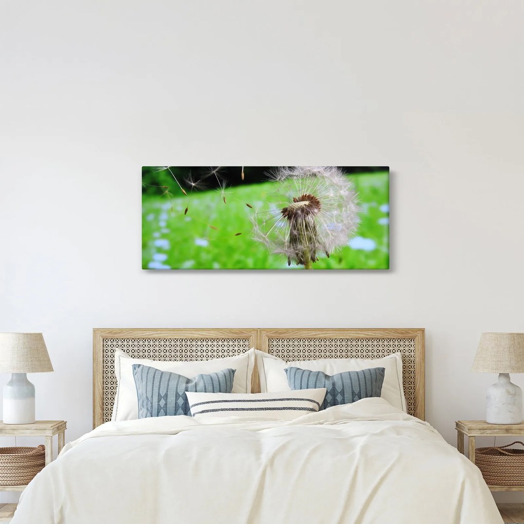 Pitypang képe (120x50 cm)