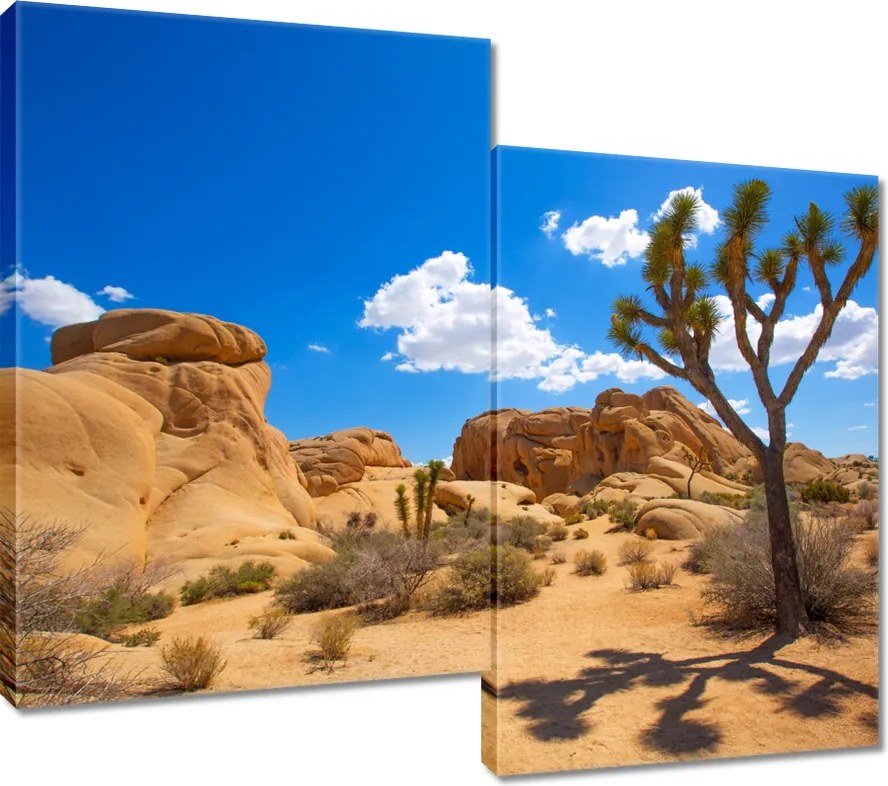 Vászonkép 80x70 Sivatagi táj
