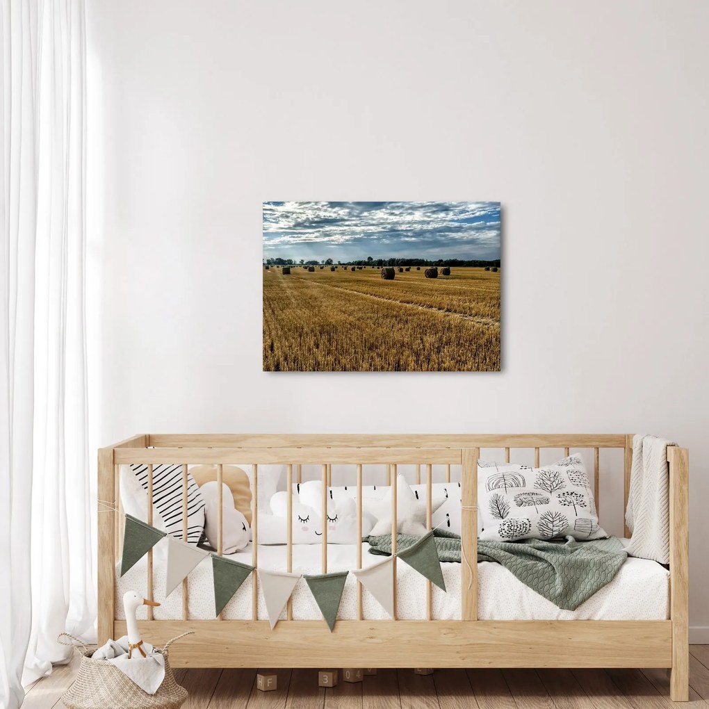 Betakarított gabona mező képe (70x50 cm)