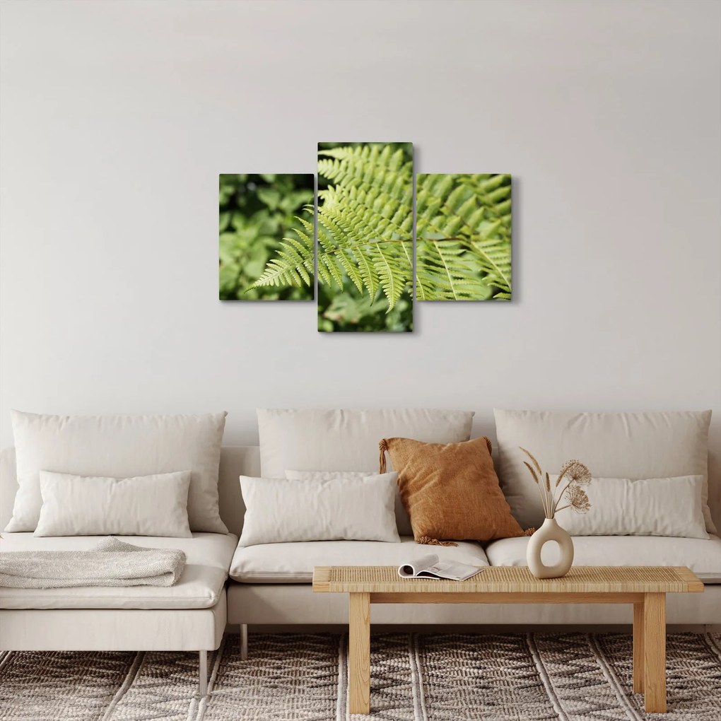Kép - Páfránylevél (90x60 cm)