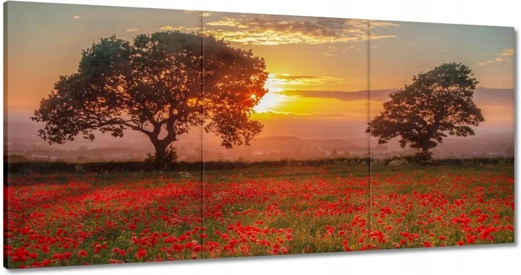 Festmények 180x90 Pipacsok a mezőn Tájkép