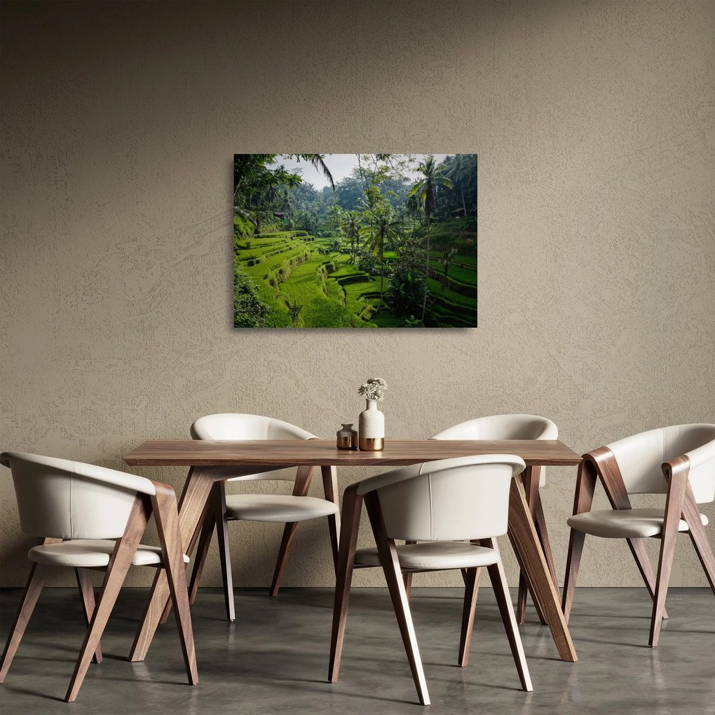 Kép a rizs teraszokról, Tegalalang, Bal (üvegen) (70x50 cm)