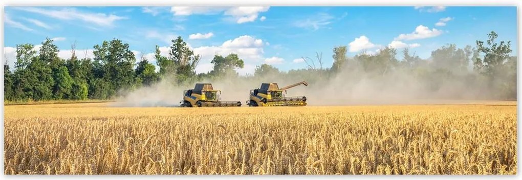 Poszterek 200x66 Két fűnyíró kombájn