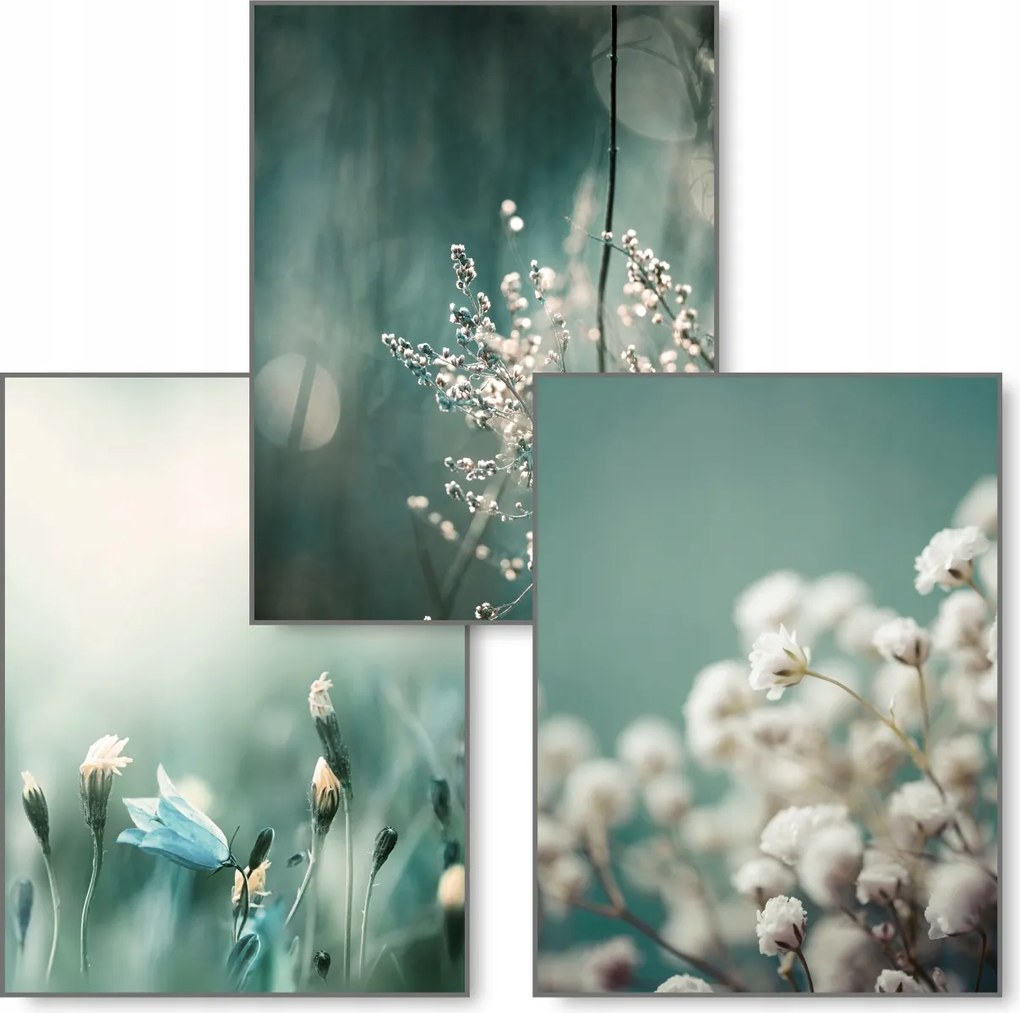 Boho 3 db-os kép szett B2 50x70 Natura poszter #222