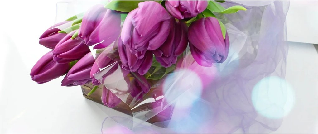 Kép - csokor tulipán (120x50 cm)