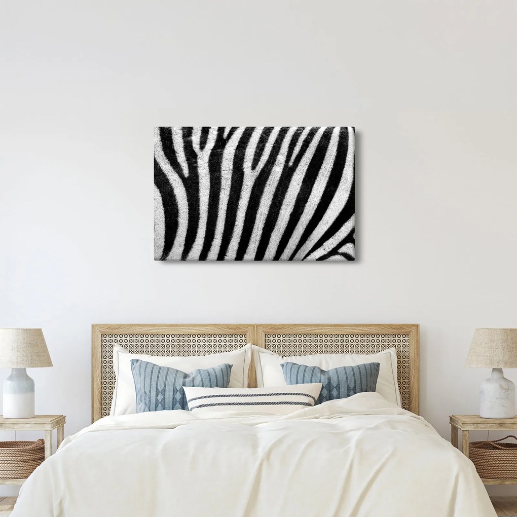 Kép egy zebra bőrről (90x60 cm)