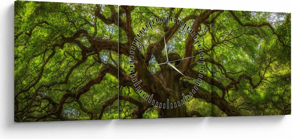Kép - Zöld fa (órával) (90x30 cm)