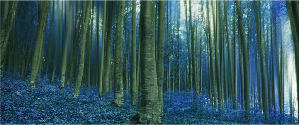 Kép - Kék erdő (120x50 cm)