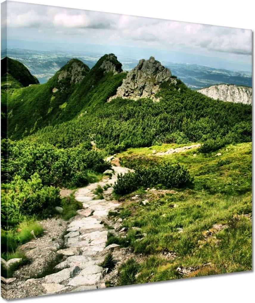 Vászonkép 40x40 Lengyel Tátra Hegyek