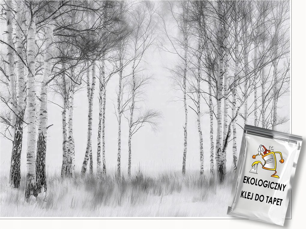 Fotótapéta Erdő 3D Fekete-fehér Fák Falra Hálószoba Nappali 150x105