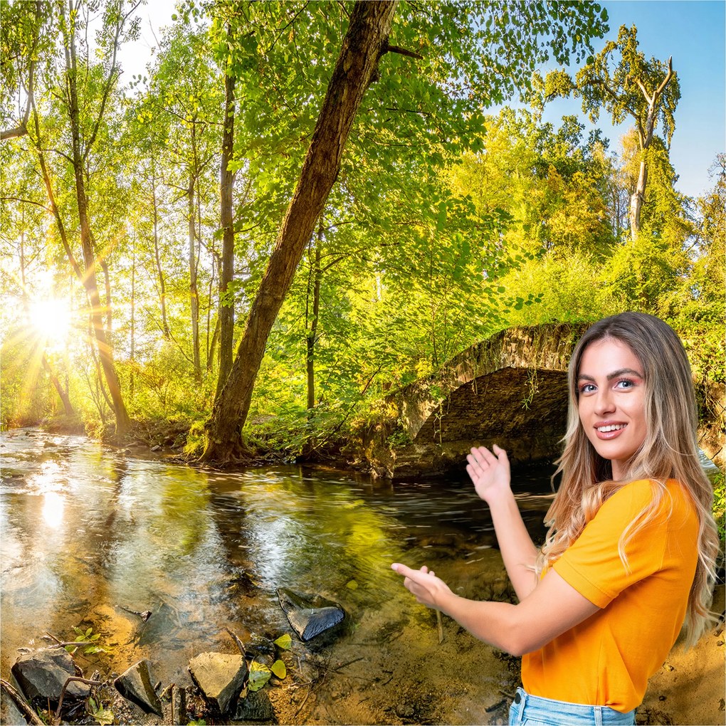 3D fotótapéta Nappali Hálószoba Erdő Fák Nap 392x280 P06F