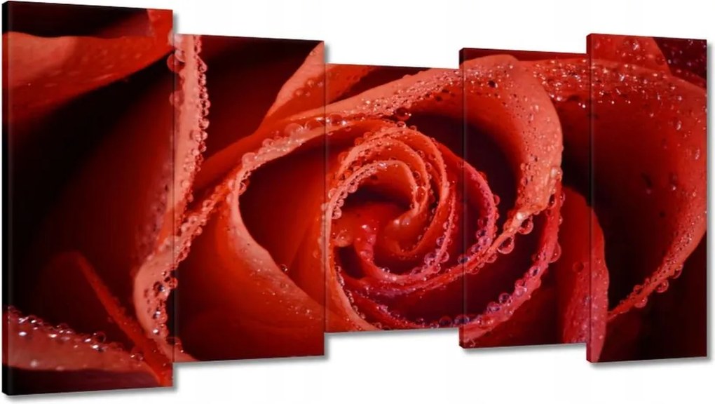 Vászonkép 150x80 Harmatcseppek a rózsán