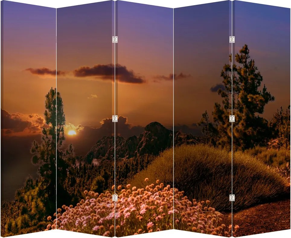 Paraván - Természet naplementekor (210x170 cm)