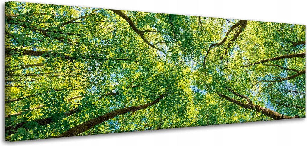 Vászonkép Fák Levelek Természet Erdő Tavasz 120x40 cm