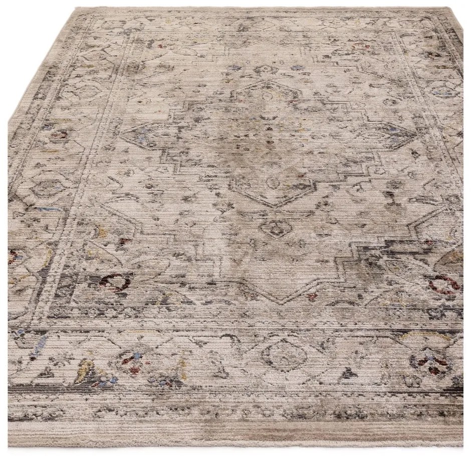 Bézs szőnyeg 240x330 cm Sovereign – Asiatic Carpets