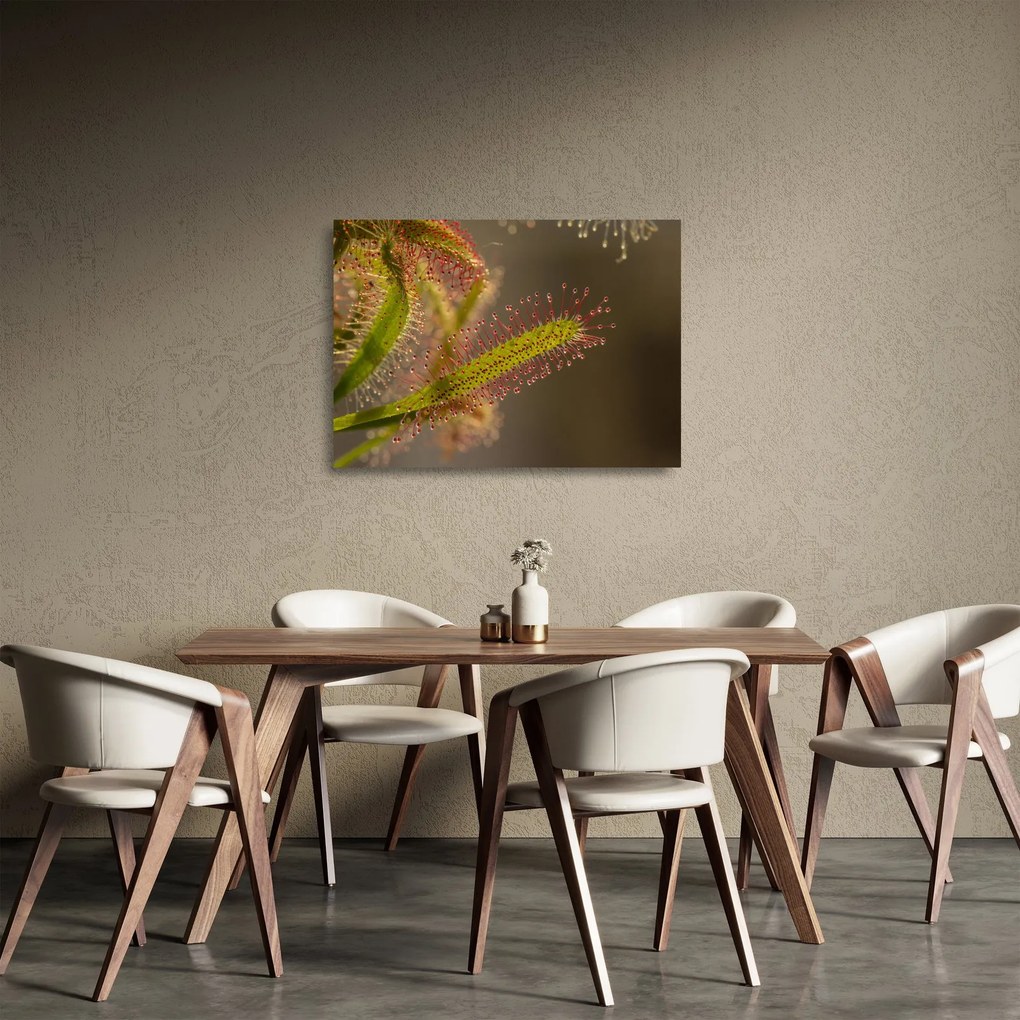 A növény képe (üvegen) (70x50 cm)