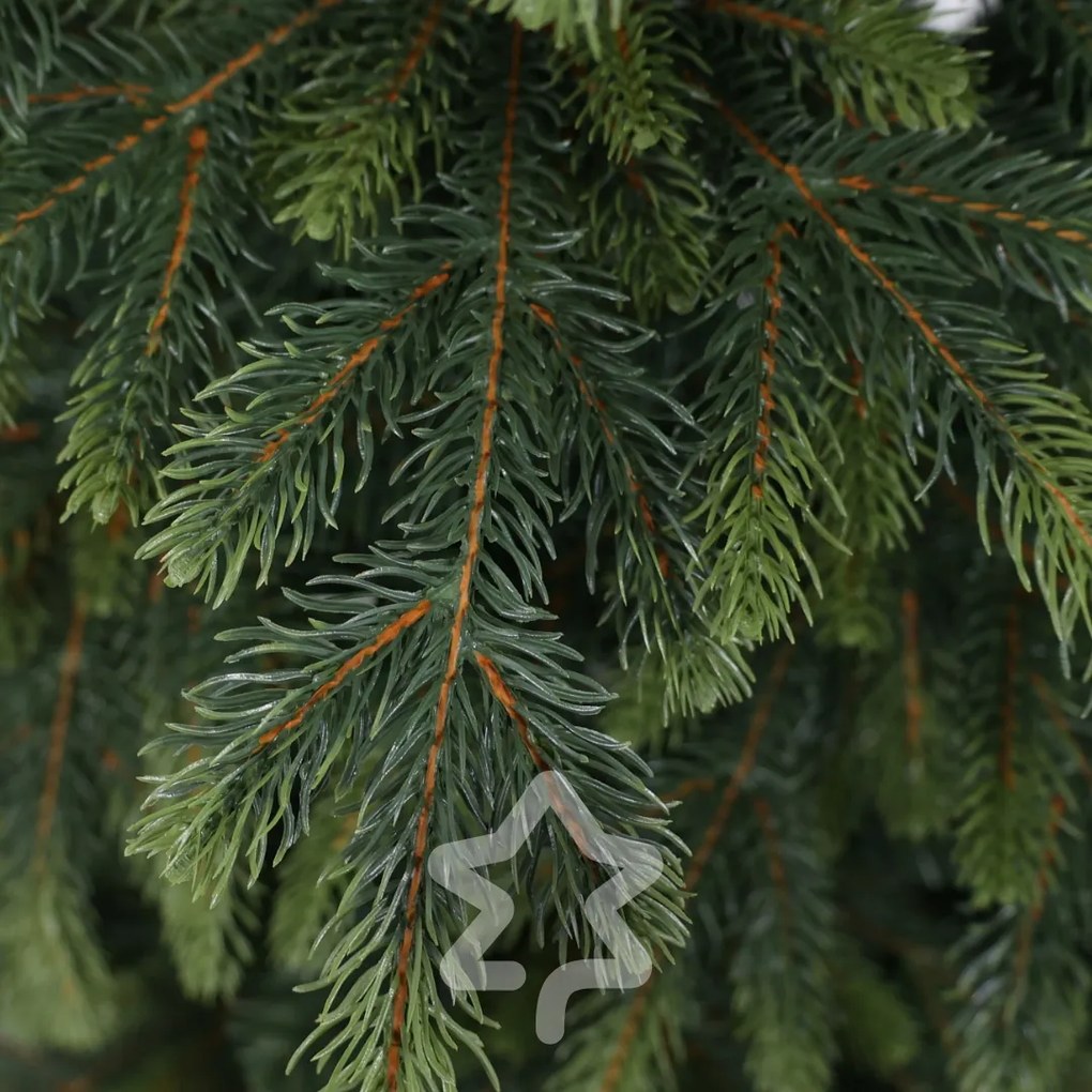 Natura lucfenyő 3D 180 cm