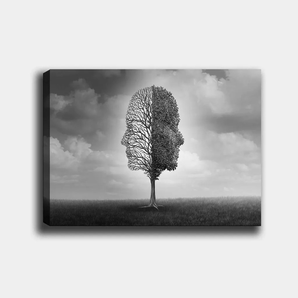 Vászonkép, 70×100 cm – TR441HPE1747