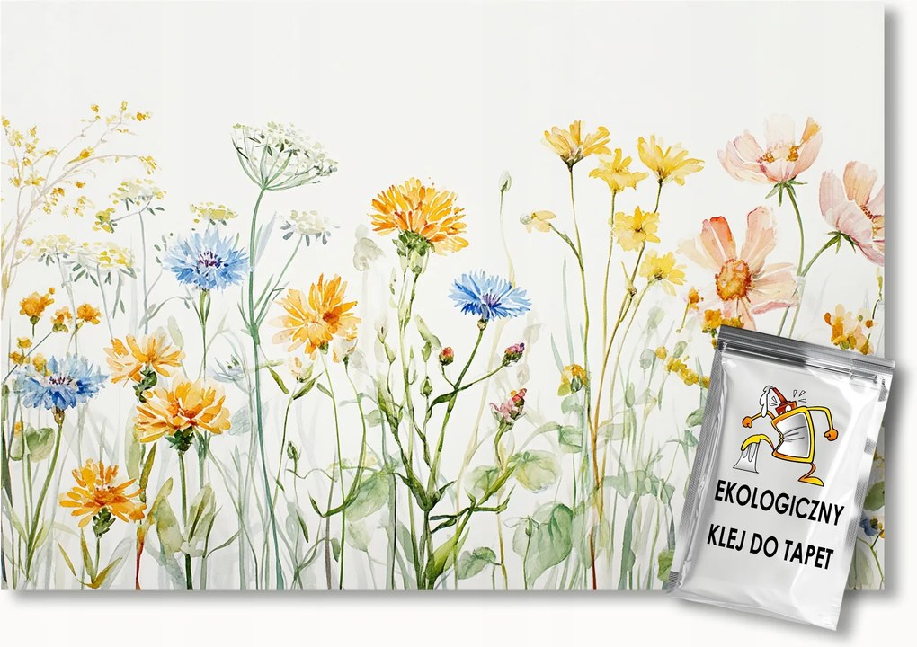 Fotótapéta Flizelina Rét Kert Színes Virágok Tavasz Nyár 250x175 ragasztó