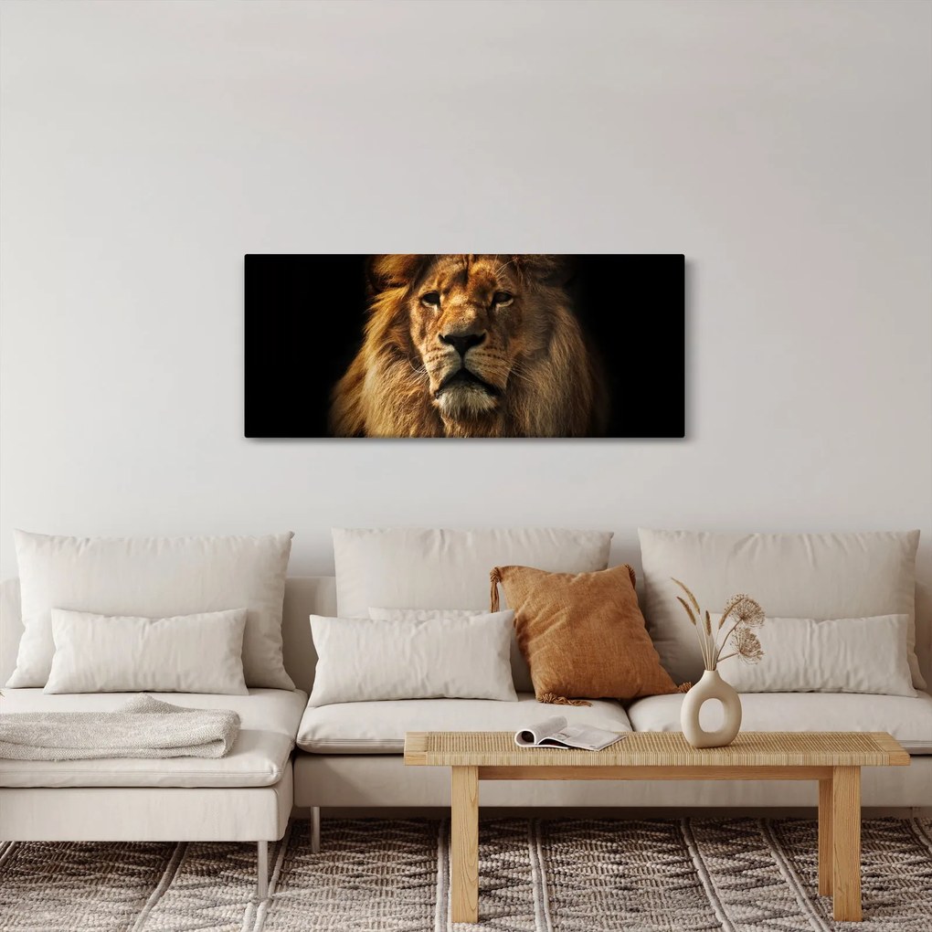 Kép - Dús sörényű oroszlán (120x50 cm)