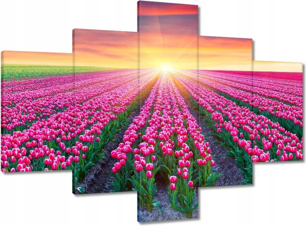 Vászonkép 100x70 Tulipánok tengere Virágok