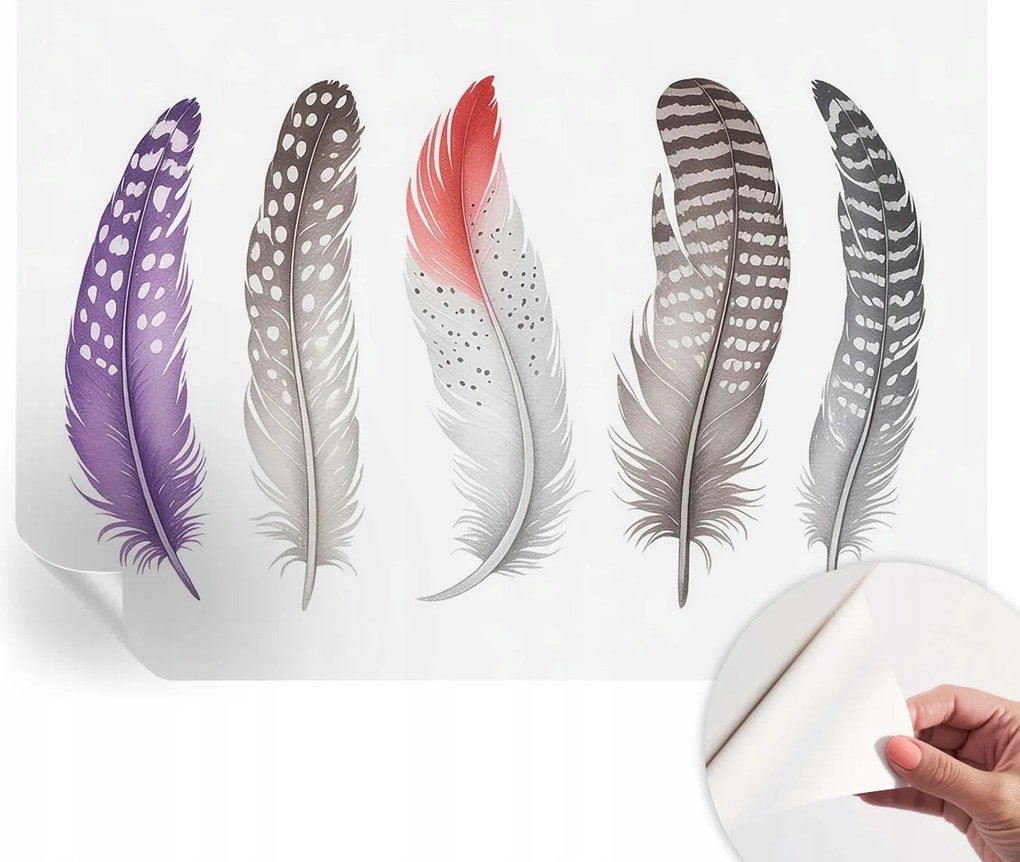 Öntapadós Fali Fotótapéta Hálószobába Mintás tollak 208x146 cm