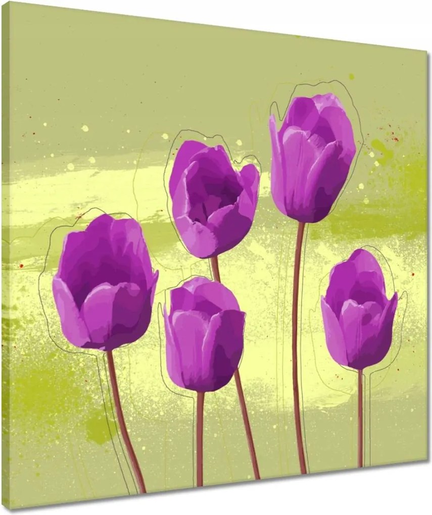 Vászonkép 50x50 Pipacsok Modern grafika