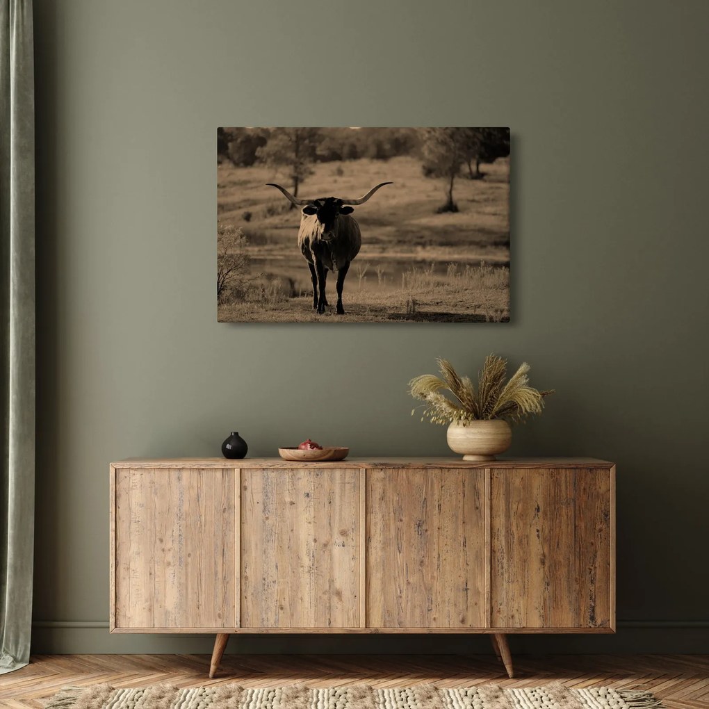 Kép - Texasi tehén (90x60 cm)