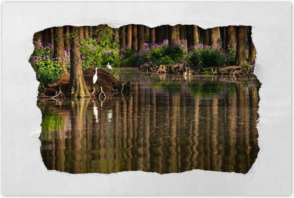 Poszterek 60x40 Tájkép Látvány