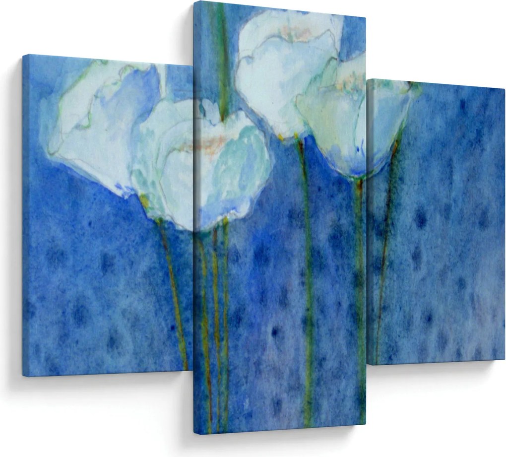 Kép - fehér tulipán (90x60 cm)