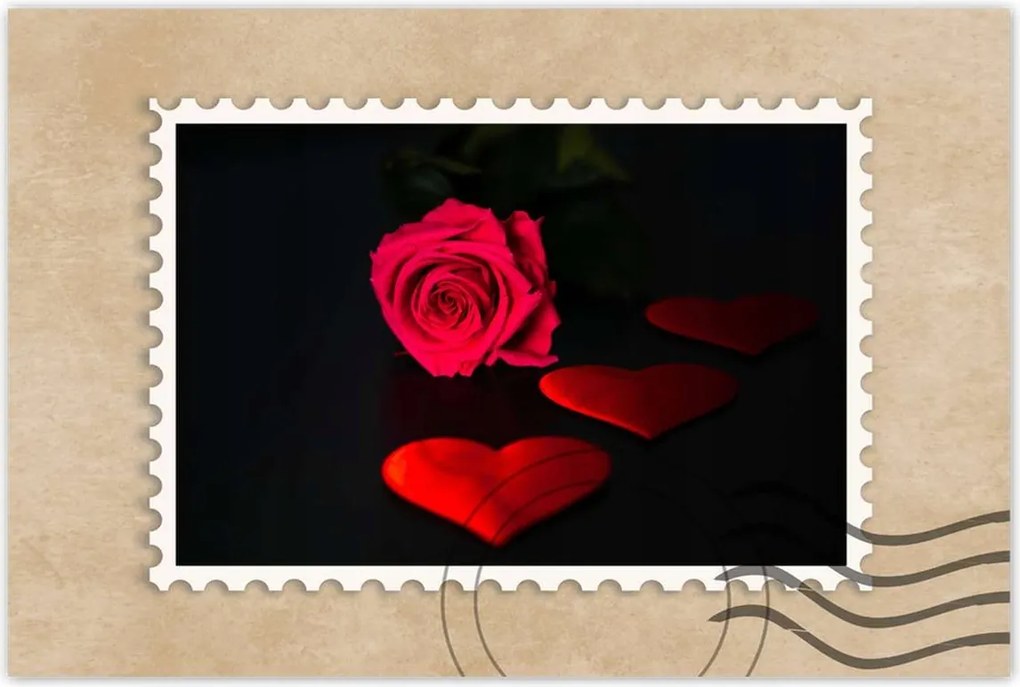 Poszter 60x40 Vörös rózsa virág