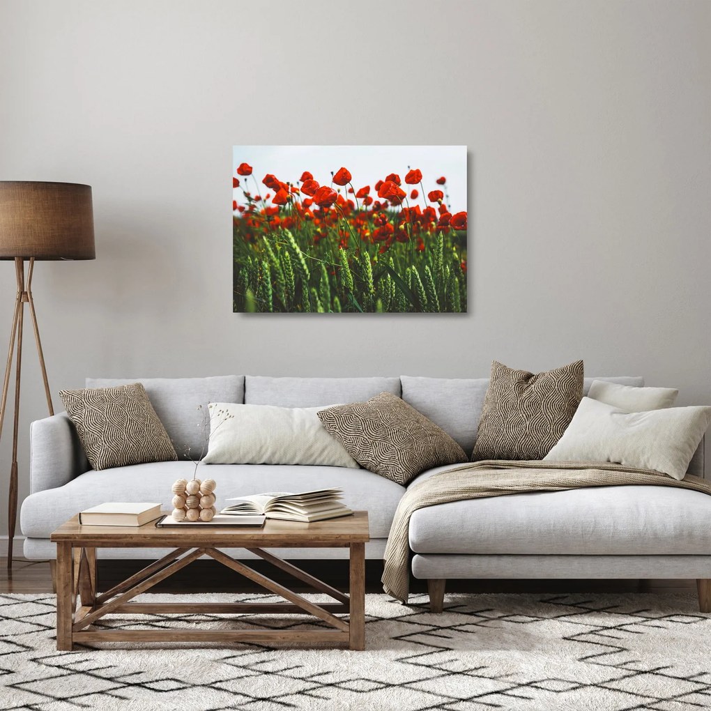 A pipacsok képe a szélben (üvegen) (70x50 cm)