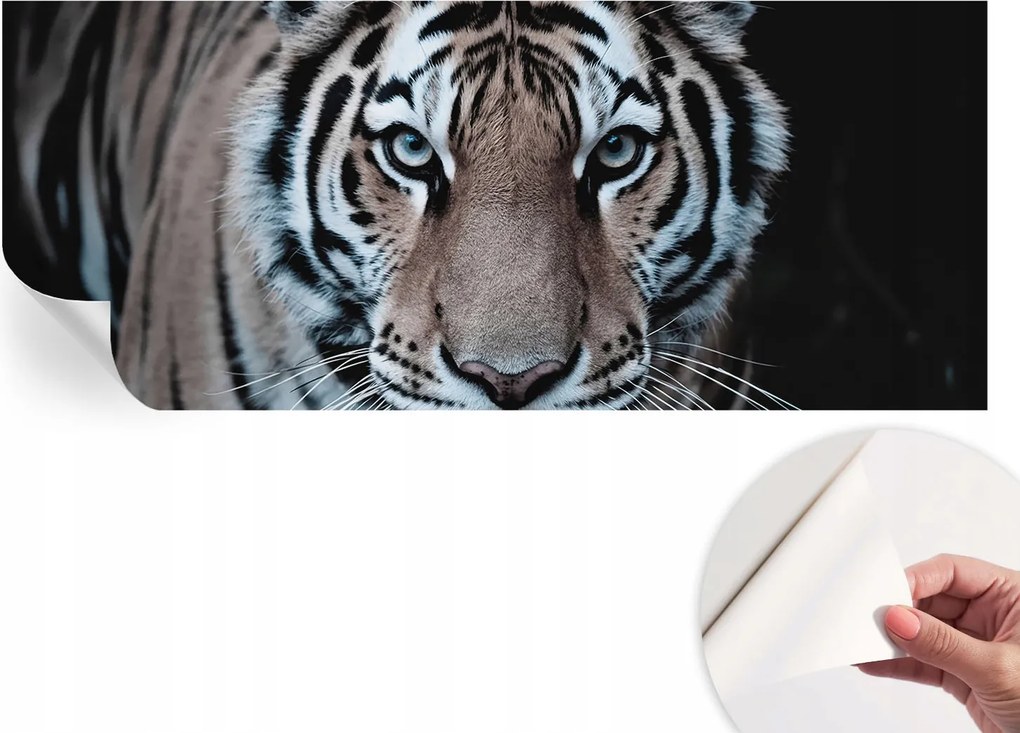 Öntapadós tapéta Divatos 3D fali ragasztó Tigris portré 250x104 cm