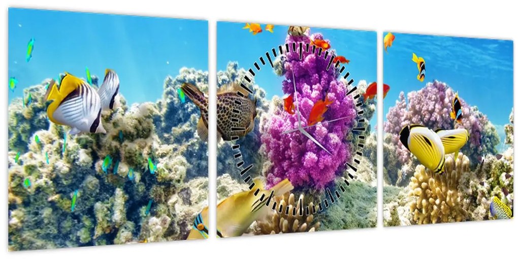 Kép - A tenger világa (órával) (90x30 cm)